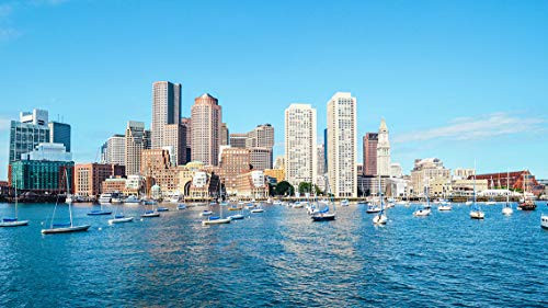 arts puzzles Jigsaw Puzzle Boston Harbor Massachusetts Skyline 1000-Pieces