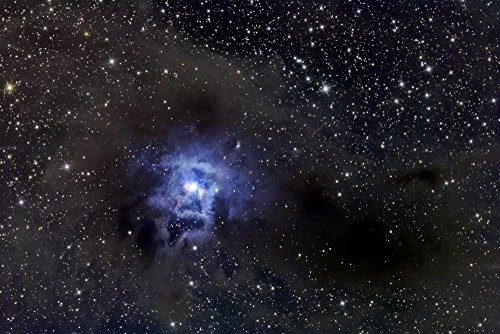 Posterazzi The Iris also known as NGC 7023 4 is a bright reflection nebula and Caldwell object in the constellation Cepheus Poster Print, (17 x 11)
