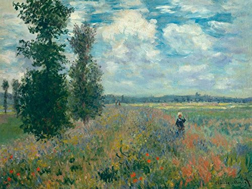 Poppy Fields Near Argenteuil Poster Print by Claude Monet (11 x 14)