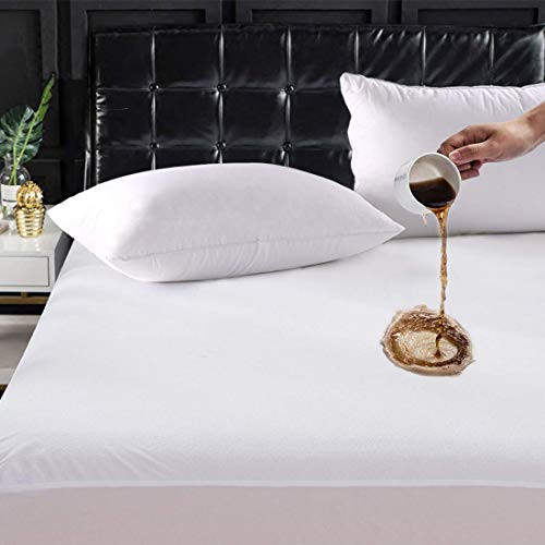 100% Waterproof Terry Cotton Mattress Protector, Breathable & Noiseless Mattress Protector (Queen, Fits Upto 15" Deep Pocket)