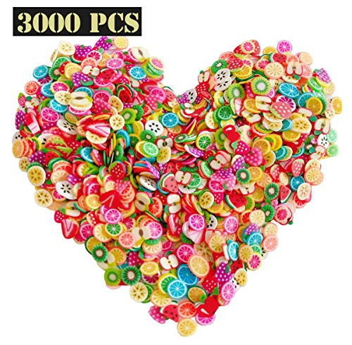 EHOPE 3000 PCS 3D Polymer Slices DIY Nail Art Slime Supplies Charms Slime Making Kit Decoration Arts Crafts(Fruit Slices)