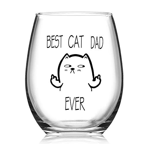 Cat Dad Stemless Wine Glass - Funny Dad Wine Glass for Cat Lovers Dad Father's Day, 15Oz