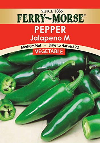 Ferry Morse Jalapeno Pepper Seeds