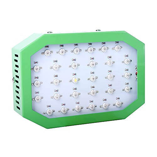300w Led Grow Light, Double Chips LED Grow Light Full Spectrum Grow Lamp for Indoor Greenhouse Hydroponic Plants Veg and Flower 300w Led Grow Light, Double Chips LED Grow Light Full Spectrum Grow Lamp for Indoor Greenhouse Hydroponic Plants Veg and Flower