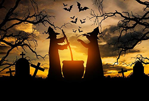 Baocicco 8x6ft Vinyl Halloween Theme Backdrop Gloomy Scene Photography Background Witch in The Halloween Night Scary Graveyard Tombstone Creepy Backdrop Children Baby Adult Portraits Studio Props