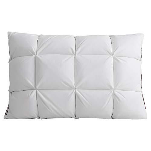 Peter Khanun Feather Pillow 3D Bread White Duck/Goose Down Feather Pillows for Sleeping,100% Cotton Standard Size 19"x 29" (Goose Down)