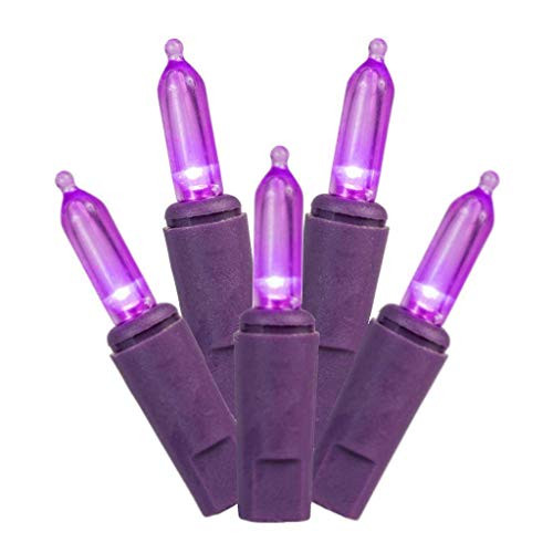 Vickerman LED Light Set, 35Lt, Purple/Purple