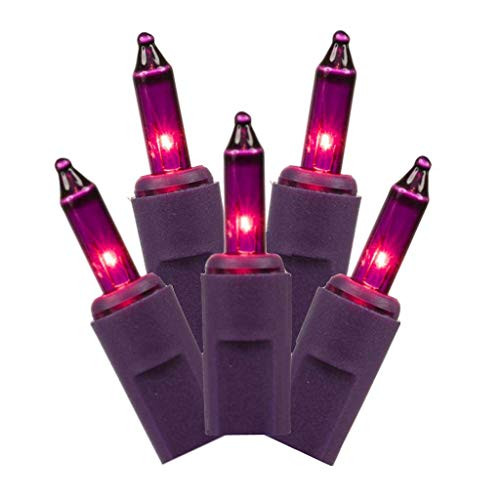 Vickerman LED Light Set, 50Lt, Mauve/Mauve