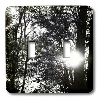 3dRose LLC lsp_79747_2 A Black and White of A Forest of Trees Double Toggle Switch