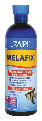 API Aquarium Pharmaceuticals 11J Melafix, 16 oz. (11J)