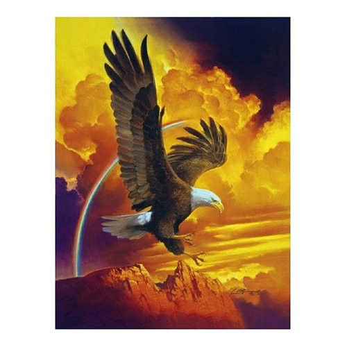 Sunsout Descent 500 Piece Jigsaw Puzzle Sunsout Descent 500 Piece Jigsaw Puzzle