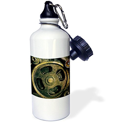 3dRose wb_167128_1 Steam Punk Gears In Bronze Realistic Look Fun Art Sports Water Bottle, Multicolor, 21 oz