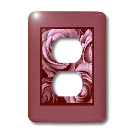 3dRose lsp_29964_6 Pastel Mauve Pink Roses Surrounded By A Rich Rich Mauve Frame 2 Plug Outlet Cover
