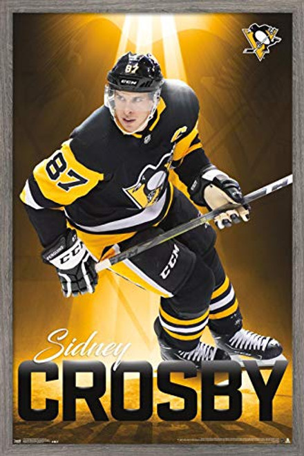 Trends International NHL Pittsburgh Penguins - Sidney Crosby, 22.375" x 34", Barnwood Framed Version Trends International NHL Pittsburgh Penguins - Sidney Crosby, 22.375" x 34", Barnwood Framed Version