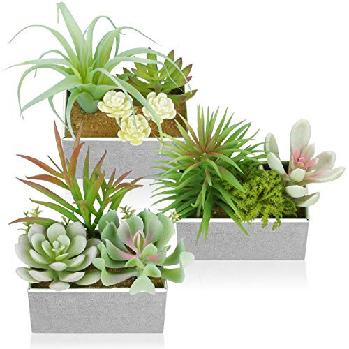 Artificial Succulents Plants, Potted Faux Succulents Set of 3, Succulents Artificial Decor, Fake Plants for Office Home Decor Artificial Succulents Plants, Potted Faux Succulents Set of 3, Succulents Artificial Decor, Fake Plants for Office Home Decor