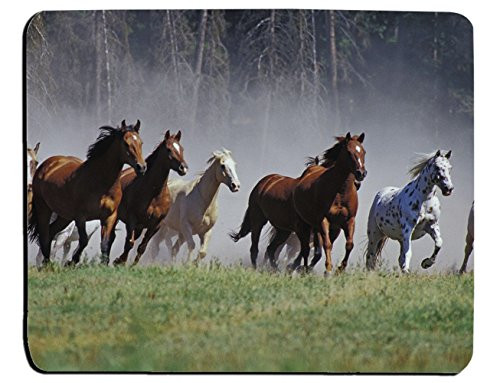 Galloping Horses Mouse Pad Galloping Horses Herd Ranch Animal Rectangle Non-Slip Rubber Mouse pads