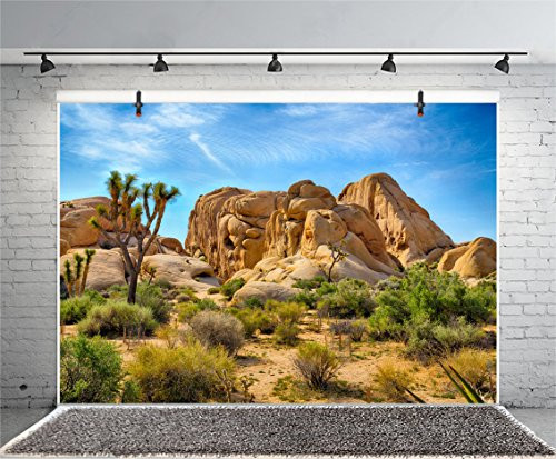 Leyiyi 8x6ft Photography Background Western Desert Backdrop Cowboy Weathering Rock Drought-Tolerant Plants Dry Grunge Landscape Cactus Joshua Tree National Park Photo Portrait Vinyl Studio Prop