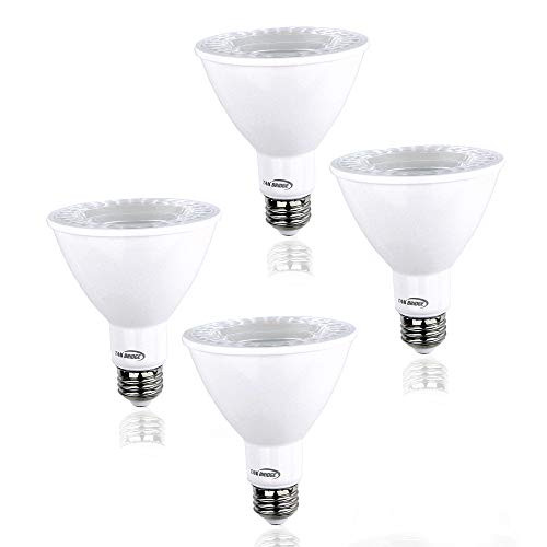 PAR30 LED Light Bulb 12W=120Watts,5000k Daylight E26 Base,Dimmable Flood Lighting Outdoor/Indoor Energy Saving (4 Pack)