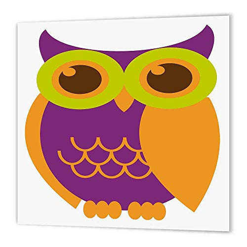 3dRose ht_124595_1 Orange, Purple, and Green Owl Iron on Heat Transfer, 8 by 8-Inch, for White Material