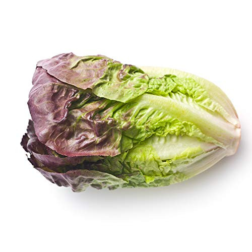 Red Romaine Lettuce Seeds, 1000+ Premium Heirloom Seeds, On Sale, (Isla's Garden Seeds), Non Gmo Organic, 90% Germination Rates, Highest Quality, 100% Pure Red Romaine Lettuce Seeds, 1000+ Premium Heirloom Seeds, On Sale, (Isla's Garden Seeds), Non Gmo Organic, 90% Germination Rates, Highest Quality, 100% Pure