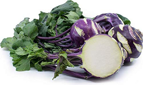Purple Vienna Kohlrabi Seeds, 300+ Premium Heirloom Seeds, ON SALE!, (Isla's Garden Seeds), Non Gmo Organic, Survival Seeds, 90% Germination, Highest Quality Purple Vienna Kohlrabi Seeds, 300+ Premium Heirloom Seeds, ON SALE!, (Isla's Garden Seeds), Non Gmo Organic, Survival Seeds, 90% Germination, Highest Quality