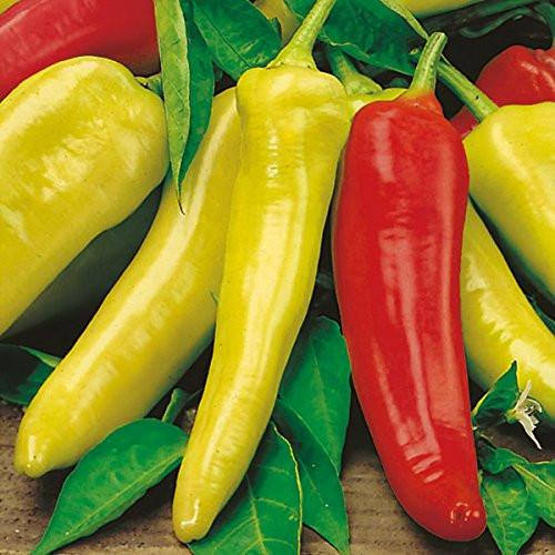Hungarian Sweet Pepper Seeds, 100+ Premium Heirloom Seeds, ON SALE!, (Isla's Garden Seeds), Non Gmo Organic, 85% Germination, Highest Quality! Hungarian Sweet Pepper Seeds, 100+ Premium Heirloom Seeds, ON SALE!, (Isla's Garden Seeds), Non Gmo Organic, 85% Germination, Highest Quality!