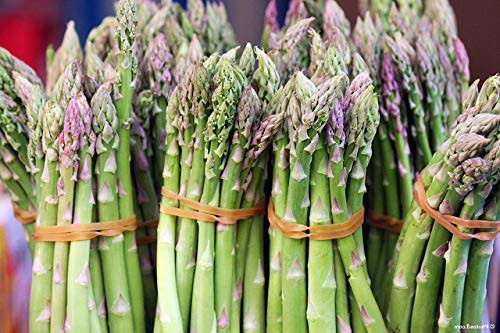 "Mary Washington" Asparagus Seeds, 125+ Premium Heirloom Seeds, High Demand & Top Seller, On Sale, (Isla's Garden Seeds), Non Gmo Organic, 90% Germination Rates, Highest Quality Seeds, 100% Pure