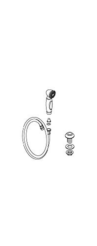 KOHLER 1011130-VF Part Sidespray Assembly, Polished Brass