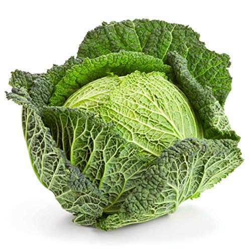 Savoy Cabbage Seeds, 500+ Premium Heirloom Seeds, Best Cabbage for Cooking! Popular!, (Isla's Garden Seeds), Non GMO Organic, 85% Germination Rates, Highest Quality Seeds