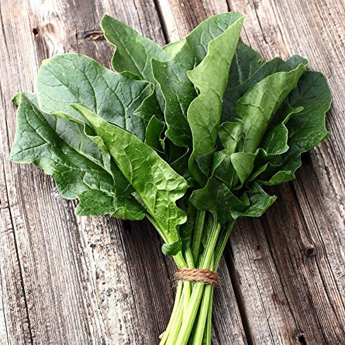 Perpetual Spinach Seeds (Swiss Chard), 300+ Premium Heirloom Spinach Seeds, Beautiful Large Leaves of Spinach! Fantastic Addition! (Isla's Garden Seeds), Non GMO, 80-85% Germination, Highest Quality