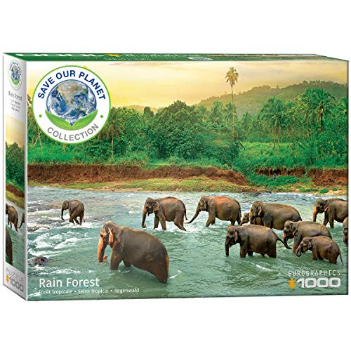 EuroGraphics Rainforest 1000-Piece Puzzle