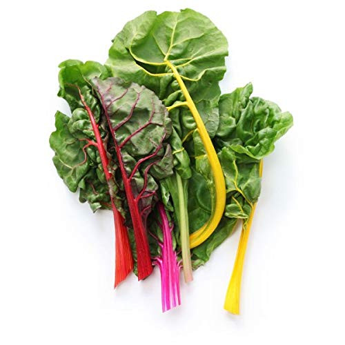 Swiss Chard Rainbow Seeds, 300+ Premium Heirloom Seeds, ON Sale!, Type: Beta Cicla, 99.9% Purity!, (Isla's Garden Seeds), Non GMO Organic Survival Seeds, Highest Quality!
