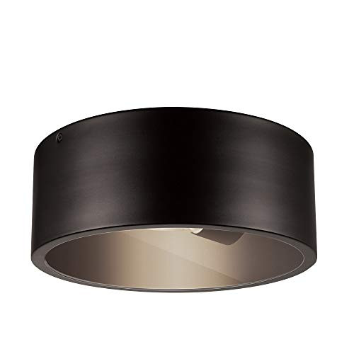 Globe Electric 44479 Teagan 1 Outdoor Indoor Flush Mount Ceiling Light, Dark Bronze, Clear Glass Shade