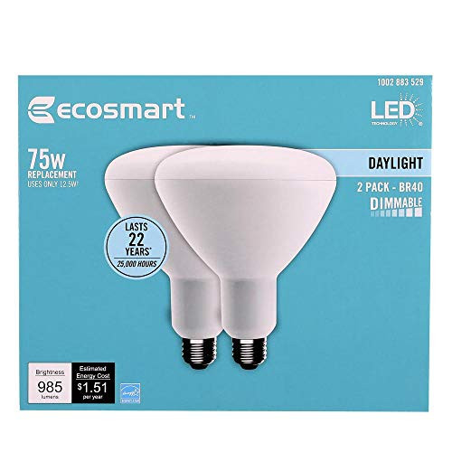 EcoSmart 75-Watt Equivalent BR40 Dimmable Energy Star LED Light Bulb Daylight (2-Pack)