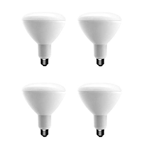 EcoSmart 75-Watt Equivalent BR40 Dimmable Energy Star LED Light Bulb Soft White (4-Pack)