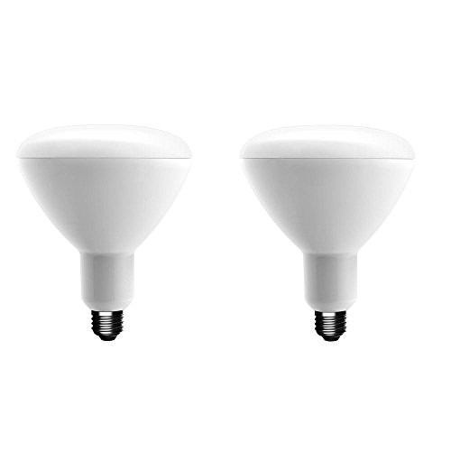 EcoSmart 75-Watt Equivalent BR40 Dimmable Energy Star LED Light Bulb Soft White (2-Pack)