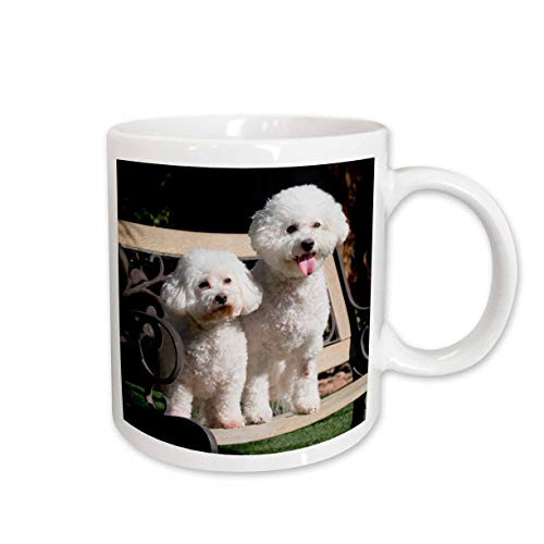 3dRose Two Bishon Frise Dog US05 ZMU0060 Zandria Muench Beraldo Mug, 11-Ounce