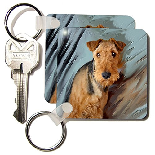 3dRose Airdale Terrier Portrait - Key Chains, 2.25 x 4.5 inches, set of 2 (kc_4169_1)