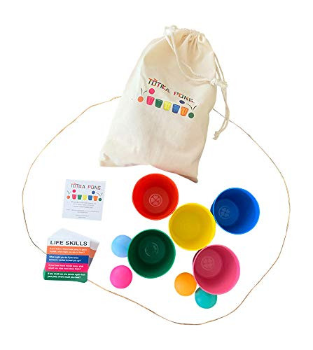 Totika Life Skills Cards and Totika Pong