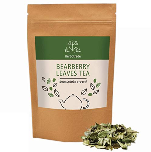Uva Ursi or Bearberry (Arctostaphylos) Dried Tea (Loose) 3 oz / 90gr