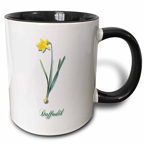 3dRose 171188_4 Botanical Print Bright Yellow Daffodil Early Spring Flower Two Tone Mug 11 oz Black