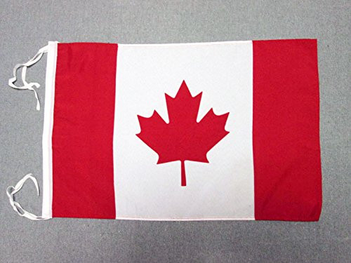 AZ FLAG Canada Flag 18'' x 12'' Cords - Canadian Small Flags 30 x 45cm - Banner 18x12 in