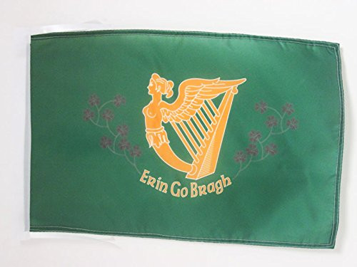 AZ FLAG Ireland Erin Go Bragh Flag 18'' x 12'' Cords - Irish Erin go Braugh Small Flags 30 x 45cm - Banner 18x12 in