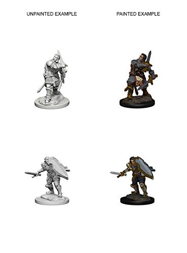 D&D Nolzurs Marvelous Unpainted Miniatures: Wave 3: Human Male Paladin