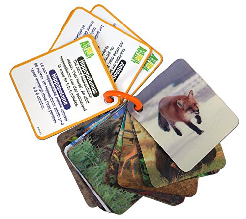 Smart Play Animal Planet 3D Flash Cards - Wild Animals Smart Play Animal Planet 3D Flash Cards - Wild Animals