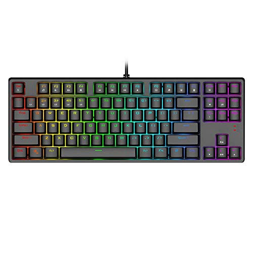 1STPLAYER TKL RGB Gaming Mechanical Wired Keyboard DK5.0 LITE, Cherry MX Linear/Quiet-Red Switches Equivalent, Fast Actuation Compact 87 Keys Tenkeyless Computer Laptop Keyboard for Windows PC Gamers 1STPLAYER TKL RGB Gaming Mechanical Wired Keyboard DK5.0 LITE, Cherry MX Linear/Quiet-Red Switches Equivalent, Fast Actuation Compact 87 Keys Tenkeyless Computer Laptop Keyboard for Windows PC Gamers