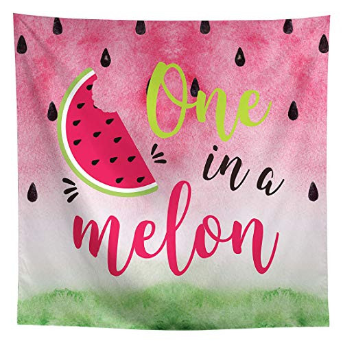 Allenjoy 8x8ft One in a Melon Watermelon Backdrop for Kids Girls 1st Birthday Party Infant Newborn Baby Shower Photography Background Summer Twotti Frutti Party Banner Cake Table Decors Photo Props