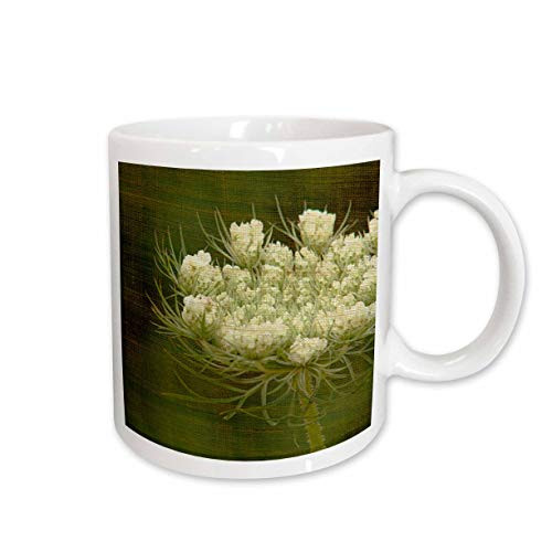 3dRose Queen Annes Lace by Angelandspot Ceramic Mug, 11-Ounce