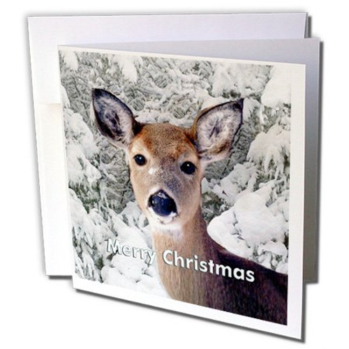 3dRose Merry Christmas - Greeting Cards, 6 x 6 inches, set of 12 (gc_4569_2) 3dRose Merry Christmas - Greeting Cards, 6 x 6 inches, set of 12 (gc_4569_2)