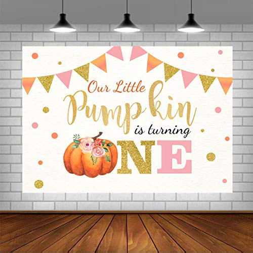 Pumpkin 1st Birthday Party Backdrop Girl's First Birthday Pink Pumpkin Background Fall Little Princess Pumpkin is Turning One Party Decorations Banner 5x3ft